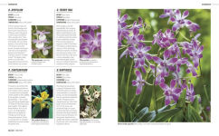 Alternative view 7 of Grow Orchids: Essential Know-how and Expert Advice for Gardening Success