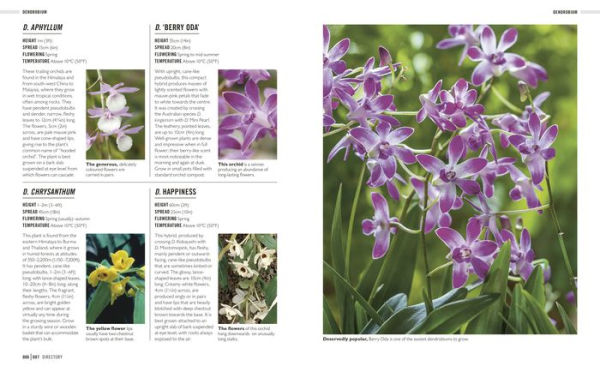 Grow Orchids: Essential Know-how and Expert Advice for Gardening Success