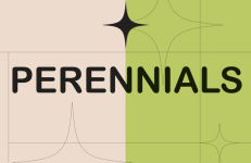 Alternative view 4 of What's That Weed?: Know Your Weeds and Learn to Live with Them