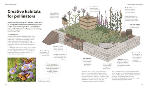 The Raised Bed Book: Get the Most from Your Raised Bed, Every Step of the Way