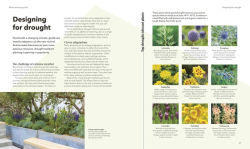 Alternative view 4 of The Raised Bed Book: Get the Most from Your Raised Bed, Every Step of the Way