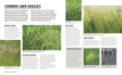 Alternative view 2 of Grow Lawns: Essential Know-how and Expert Advice for Gardening Success