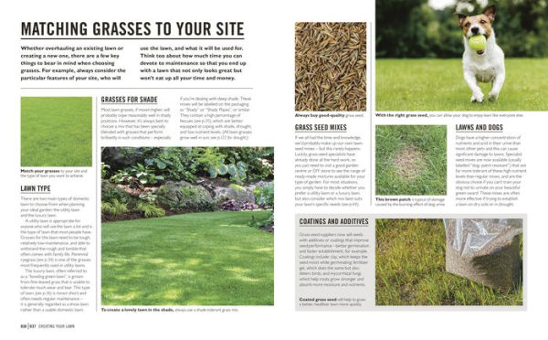 Grow Lawns: Essential Know-how and Expert Advice for Gardening Success