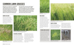 Alternative view 9 of Grow Lawns: Essential Know-how and Expert Advice for Gardening Success