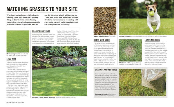 Grow Lawns: Essential Know-how and Expert Advice for Gardening Success