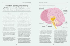 Alternative view 11 of Brain: An Owner's Guide