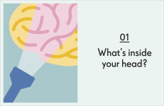 Alternative view 3 of Brain: An Owner's Guide