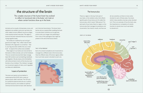 Brain: An Owner's Guide