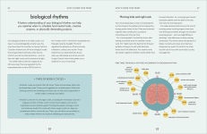 Alternative view 5 of Brain: An Owner's Guide