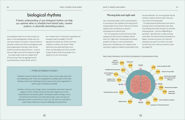 Brain: An Owner's Guide