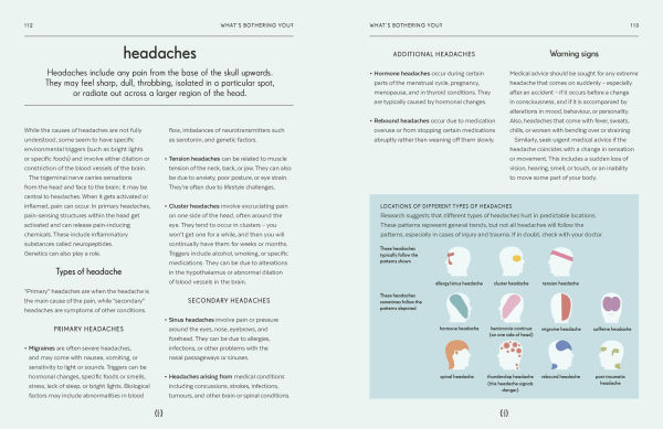 Brain: An Owner's Guide