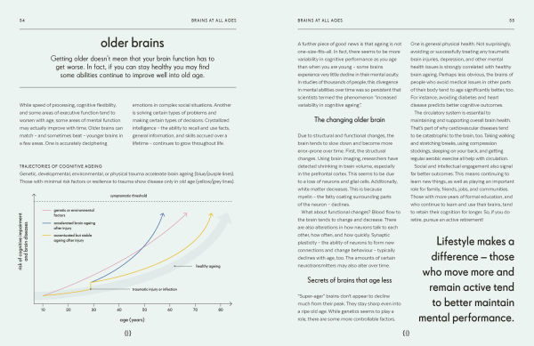 Brain: An Owner's Guide