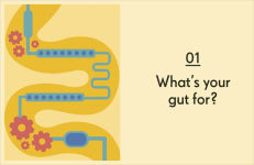 Alternative view 3 of Gut: An Owner's Guide