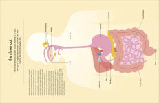 Alternative view 4 of Gut: An Owner's Guide