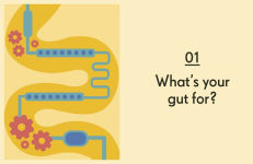 Alternative view 9 of Gut: An Owner's Guide