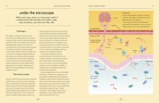 Alternative view 10 of Gut: An Owner's Guide