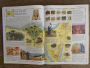 Alternative view 3 of The Bible Atlas: A Pictorial Guide to the Holy Lands