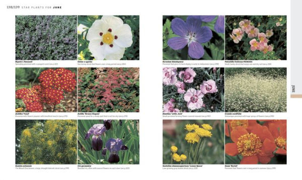 Gardening Through the Year: Month-by-Month Planning, Instructions, and Inspiration