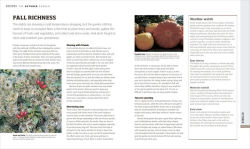 Alternative view 6 of Gardening Through the Year: Month-by-Month Planning, Instructions, and Inspiration