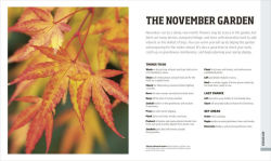 Alternative view 7 of Gardening Through the Year: Month-by-Month Planning, Instructions, and Inspiration