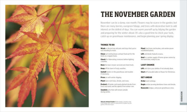 Gardening Through the Year: Month-by-Month Planning, Instructions, and Inspiration