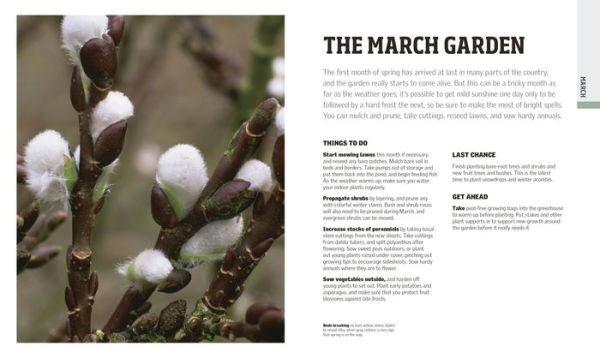 Gardening Through the Year: Month-by-Month Planning, Instructions, and Inspiration