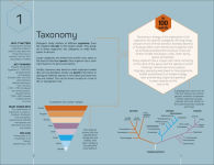 Alternative view 4 of Biology 100 Ideas in 100 Words: A Whistle-stop Tour of Science's Key Concepts