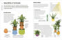 Alternative view 3 of Cómo no matar tus plantas (How Not to Kill Your Houseplant): Nueva edición