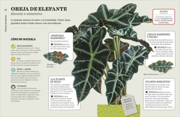 Cómo no matar tus plantas (How Not to Kill Your Houseplant): Nueva edición