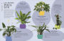 Alternative view 7 of Cómo no matar tus plantas (How Not to Kill Your Houseplant): Nueva edición