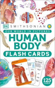 Title: Our World in Pictures Human Body Flash Cards, Author: DK