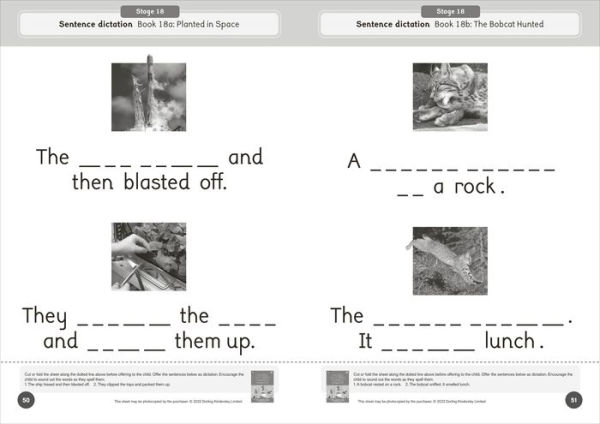 Phonic Books Dandelion World Reading and Writing Activities for Stages 16-20 ('tch' and 've', Two-Syllable Words, Suffixes -ed and -ing and Spelling