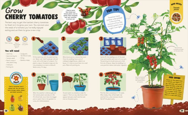 From Plant to Plate: Turn Home-Grown Ingredients Into Healthy Meals!
