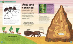 Alternative view 6 of The Very Hungry Caterpillar's Very First Animal Encyclopedia: An Introduction to Animals, For VERY Hungry Young Minds