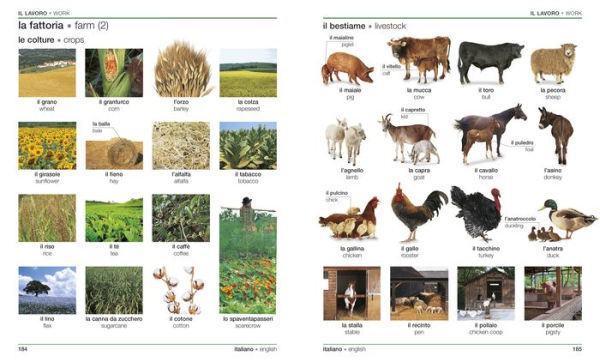 Italian English Bilingual Visual Dictionary