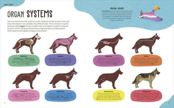 The Animal Body Book: An Insider's Guide to the World of Animal Anatomy