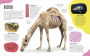 Alternative view 6 of The Animal Body Book: An Insider's Guide to the World of Animal Anatomy