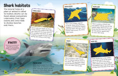 Alternative view 11 of Sticker Encyclopedia Sharks: More Than 600 Stickers