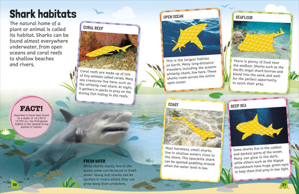 Sticker Encyclopedia Sharks: More Than 600 Stickers