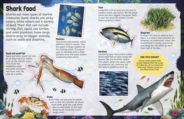 Sticker Encyclopedia Sharks: More Than 600 Stickers