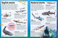Alternative view 2 of Sticker Encyclopedia Sharks: More Than 600 Stickers
