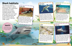 Alternative view 7 of Sticker Encyclopedia Sharks: More Than 600 Stickers