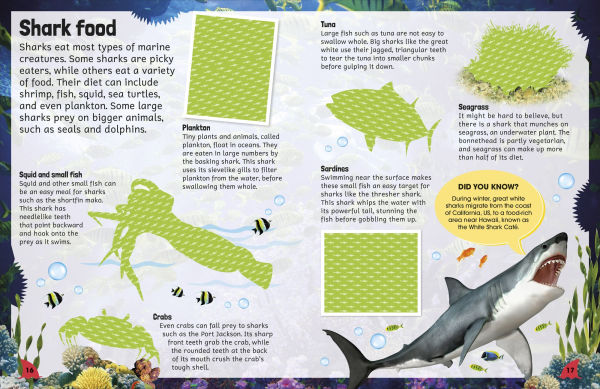 Sticker Encyclopedia Sharks: More Than 600 Stickers