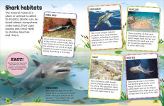 Alternative view 9 of Sticker Encyclopedia Sharks: More Than 600 Stickers