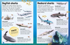 Alternative view 10 of Sticker Encyclopedia Sharks: More Than 600 Stickers