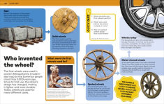 Alternative view 3 of Why? Encyclopedia: Brilliant Answers to Baffling Questions