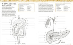 Alternative view 11 of The Human Body Coloring Book: The Ultimate Anatomy Study Guide, Second Edition