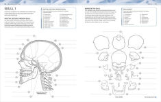 Alternative view 2 of The Human Body Coloring Book: The Ultimate Anatomy Study Guide, Second Edition