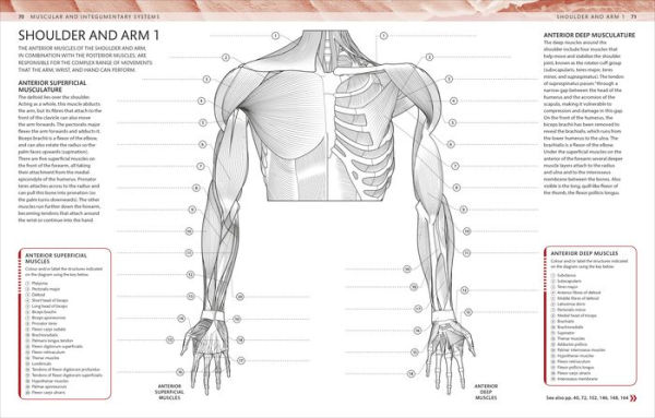 The Human Body Coloring Book: The Ultimate Anatomy Study Guide, Second Edition
