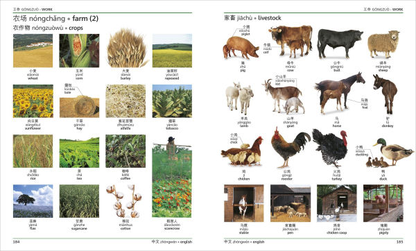 Mandarin Chinese - English Bilingual Visual Dictionary